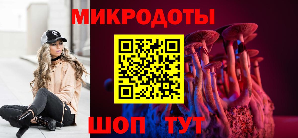 Псилоцибиновые грибы Psilocybine cubensis Губкинский