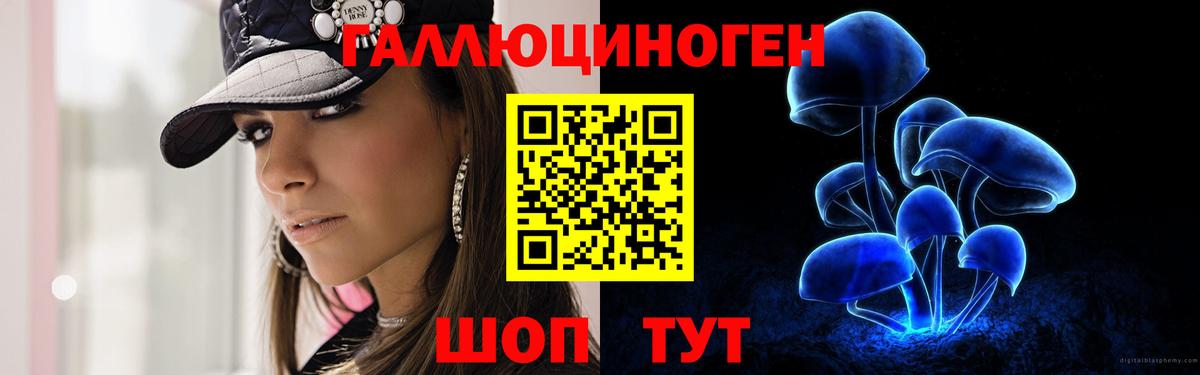 Губкинский  Псилоцибиновые грибы Cubensis  где можно купить   Вход с VPN 